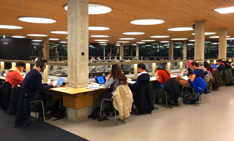 Netherlands Study Abroad