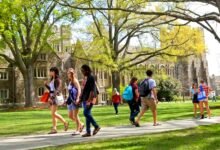 study abroad programs